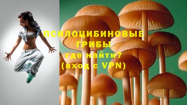 прущие крисы Алексеевка